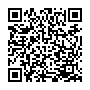 P19-webcast.tiktokcdn.com.itotolink.net QR code