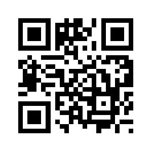 P25team.com QR code