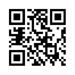 P4fkn0l.biz QR code