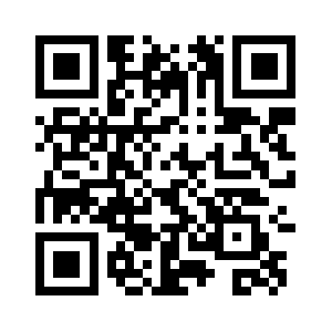 Paallysteurakka.info QR code