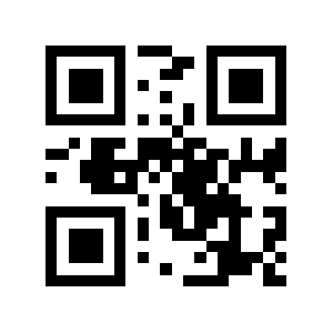 Page.co QR code