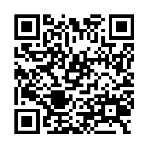 Paigefranchiseconsulting.com QR code