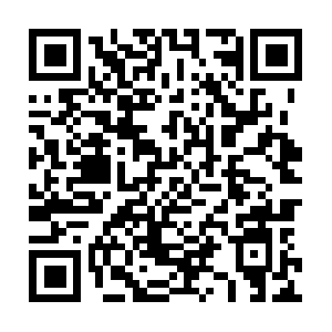 Painfreeorthopedic-physiotherapy.com QR code