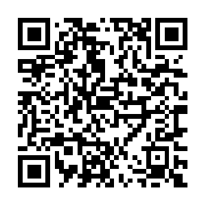 Painlesspracticemarketingwebinaruk.com QR code