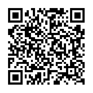 Painpassionpurposeandpotential.info QR code