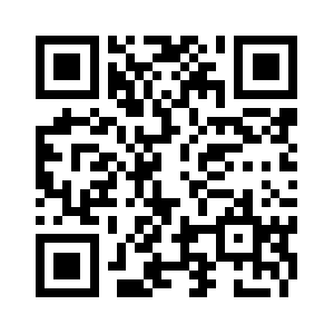 Pajeviraldoding.com QR code