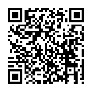 Palestineroofingcontractorrepair.com QR code