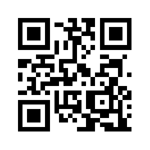 Palfeys.com QR code