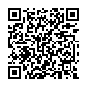 Palmbeachlifeextensioninstitute.com QR code