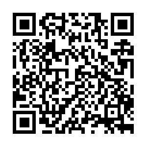 Palmchat.cdn.lianxinapp.com.qiniudns.com QR code