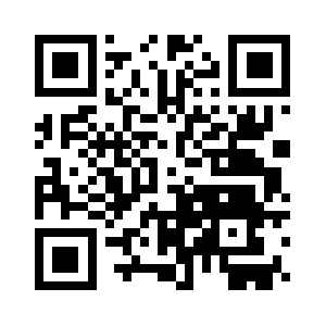 Palmerweaponssystems.org QR code