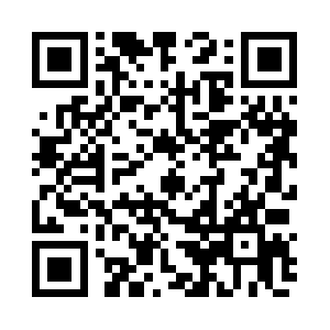 Palmettocitydreamcars.com QR code