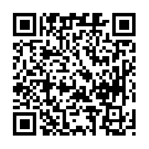 Palmettooralandmaxillofacialsurgeons.com QR code