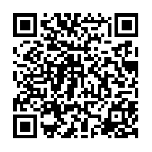 Panamapermacultureresearchinstitute.com QR code