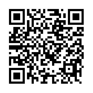 Paodeacucarvivadecoracoes.com QR code