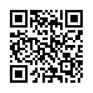 Parallelitsolutions.com QR code