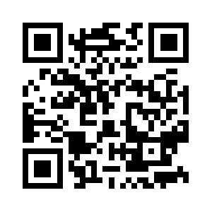 Patelmetalindia.com QR code