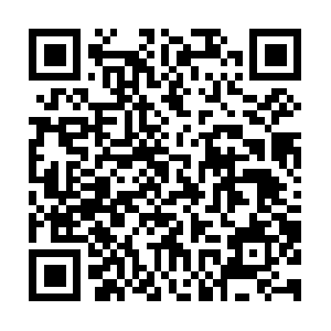 Paulaschoice-sync.quantummetric.com QR code