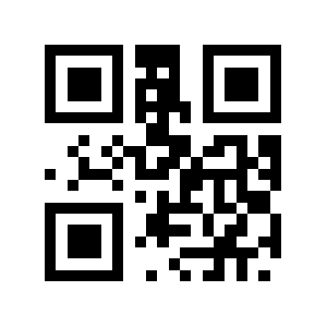 Pay1.in QR code