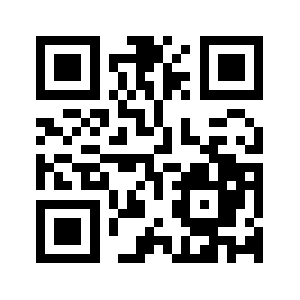 Pay4this.net QR code