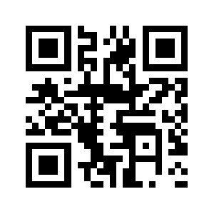 Payinfopal.com QR code