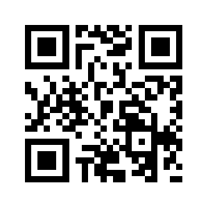 Paynine.biz QR code