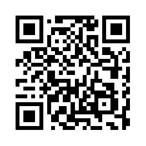 Payrollaudithelp.com QR code