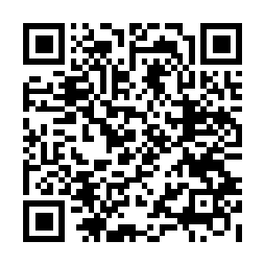 Pembrokepinespaintingcontractors.com QR code