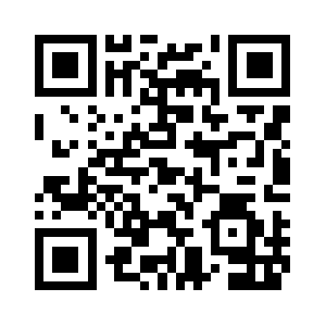 Perfecthole.net QR code