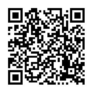 Performance-diagnostics.spartez-software.com QR code