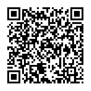 Performance-measurement-1299-1.mse001.pnap.net QR code