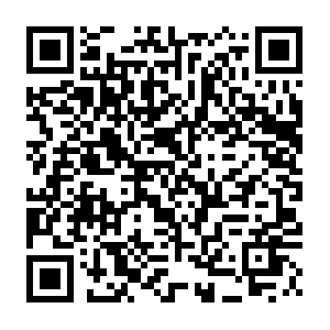 Performance-measurement-1299-1.mse003.pnap.net QR code