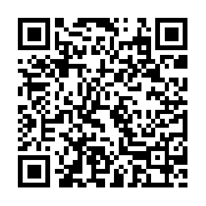 Personalinjurylawyerphoenixcantor.com QR code