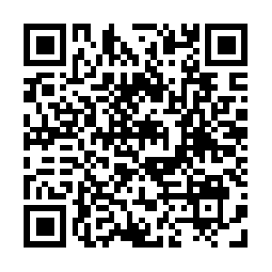 Pestexterminatorwestbridgewater.com QR code