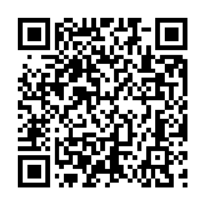 Pet-video-verify-pet-supplies.myshopify.com QR code