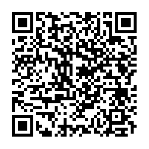 Peterspittlerarchitecturalservicesonline.info QR code