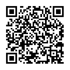 Petfriendlycondosforsaleclearwater.com QR code