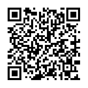 Peytonanimalcrueltyevaluationsllc.com QR code