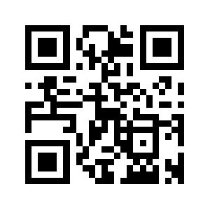 Pg5393.com QR code