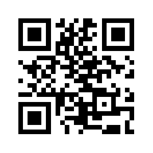 Pg9193.com QR code