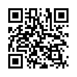 Philipppleinblog.com QR code