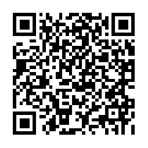 Phillipislandaccommodationcentre.com QR code