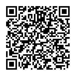 Phonedeviceverification-pa.googleapis.com.lan QR code