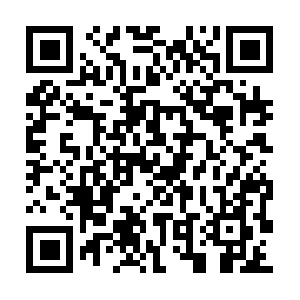 Photo-reference-for-comic-artists.com QR code