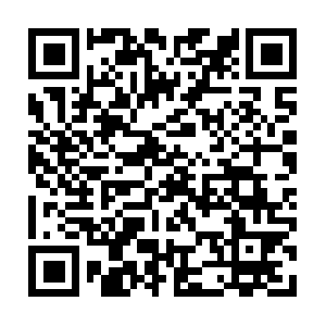 Photographieraredecollectionetdecoration.com QR code