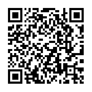 Physicaltherapistbusinessconsulting.com QR code