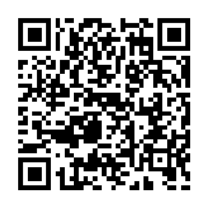 Physicaltherapybillingprofessionals.com QR code