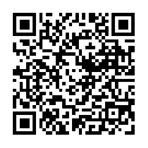 Physicianassistantsummerexperience.com QR code