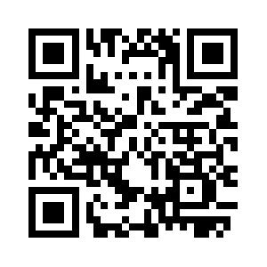 Pieengineering.com QR code