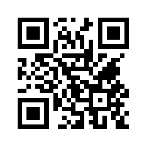 Pin55.ir QR code